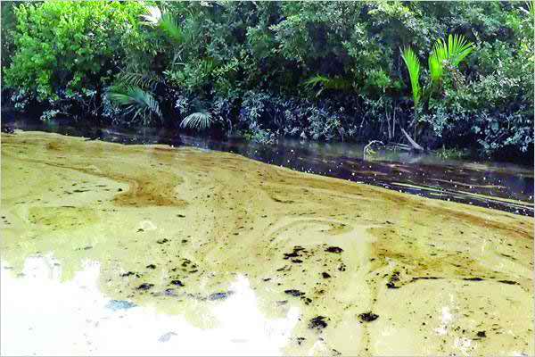 তেল ট্যাংকার ডুবি: সুন্দরবনের ডলফিন অভয়ারণ্যে মহাবিপর্যয়