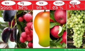 fruits-www.jatirkhantha.com.bd---2