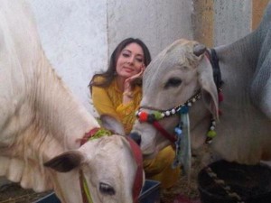 Sharmila-Farooqi-korbani cow-www.jatirkhantha.com.bd