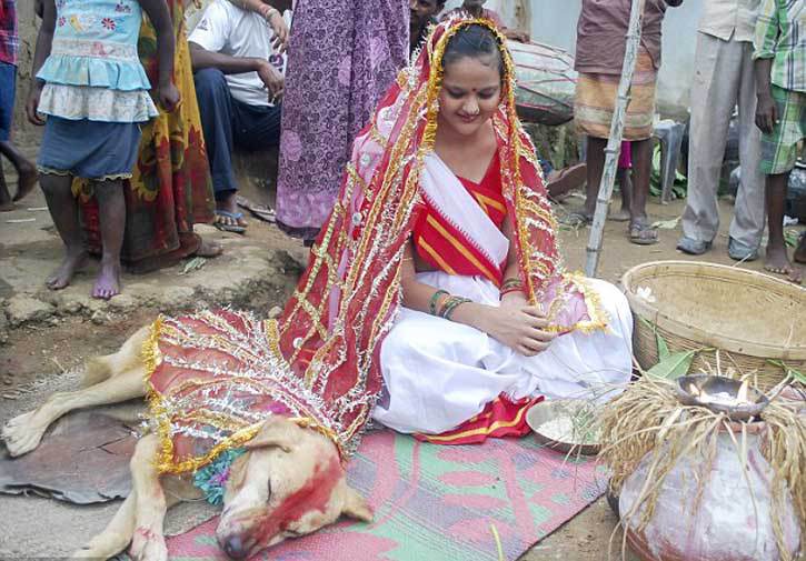 অশুভ শক্তির হাত থেকে বাঁচতে কুকুরকে বিয়ে