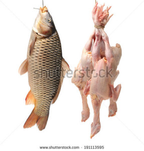 -hen-fish