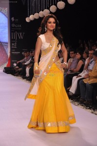 Model at Gitanjali show for IIJW 2013 in Mumbai on 4th Aug 2013 shown to user