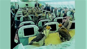 hawks_on_a_plane-www.jatirkhantha.com.bd