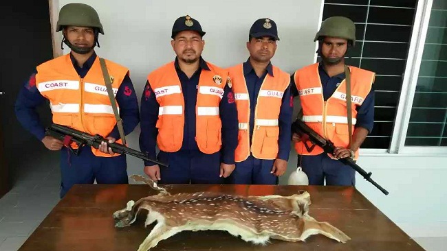 সুন্দরবনে পাচারচক্রে হরিণের চামড়া