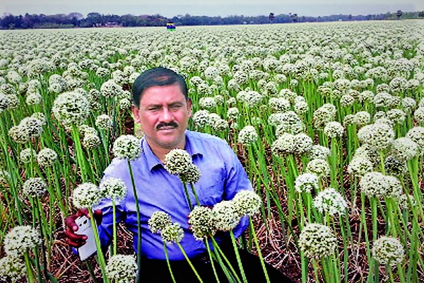 বক্তার খানের পিয়াজদানা’য় সাফল্য’র নেপথ্যে