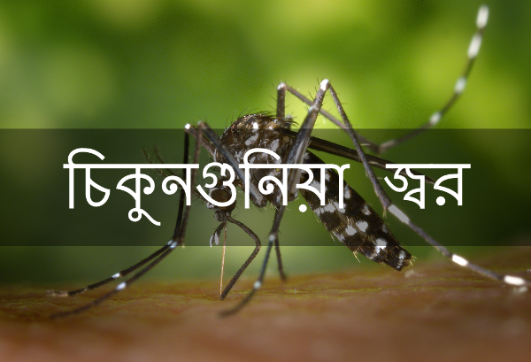 চিকুনগুনিয়ায় আক্রান্তদের ক্ষতি-পূরণ কেন নয় জানাও হাইকোর্ট