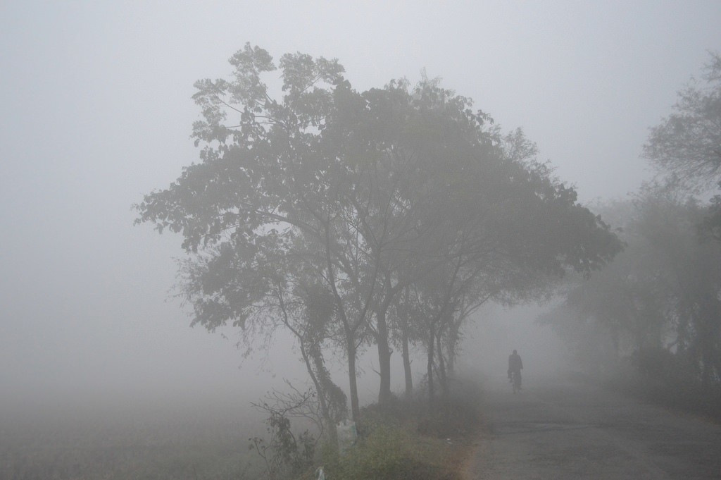 saitoprobhaho-www.jatirkhantha.com.bd