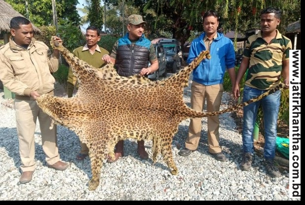 এবার বাঘের মাংসে পিকনিকে তোলপাড়