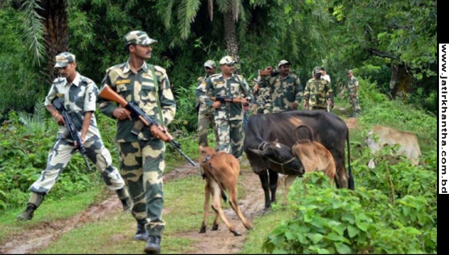 বিএসএফের গুলিতে গরু ব্যবসায়ী নিহত