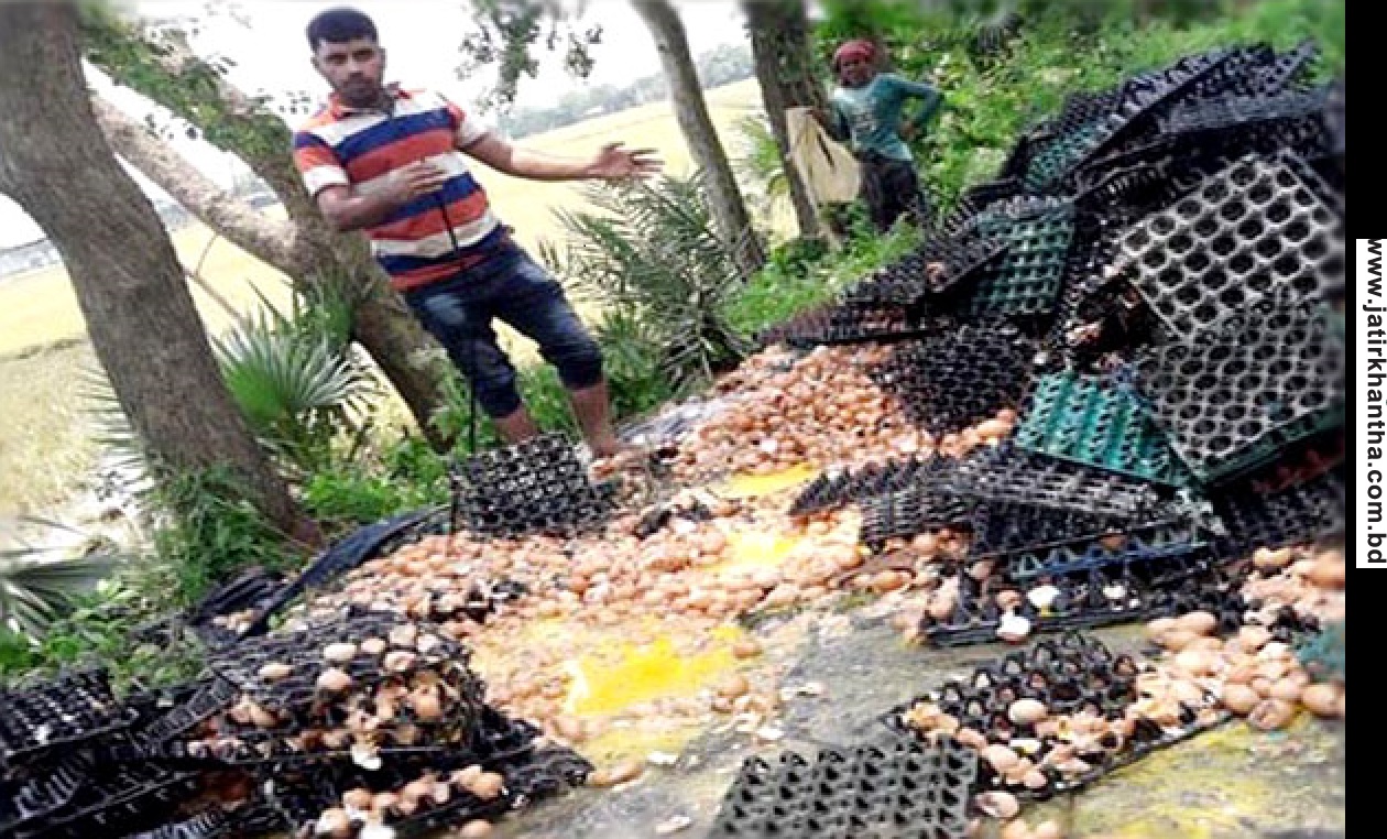 পুলিশের ডিম চান্দা’য় নিঃস্ব খামারি-!