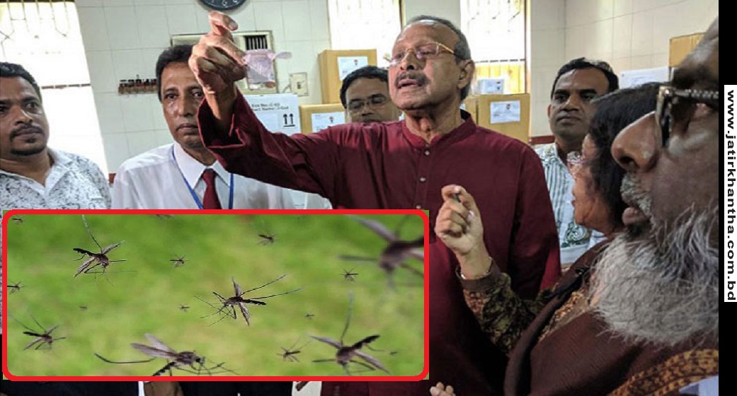 এবার মশাকে বন্ধ্যা বানিয়ে ডেঙ্গু মোকাবেলা-