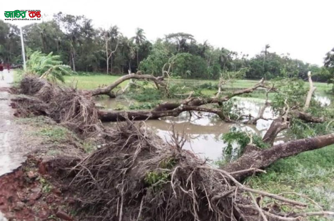 আম্পানে নিহত৭ ক্ষতি ১৯জেলায়