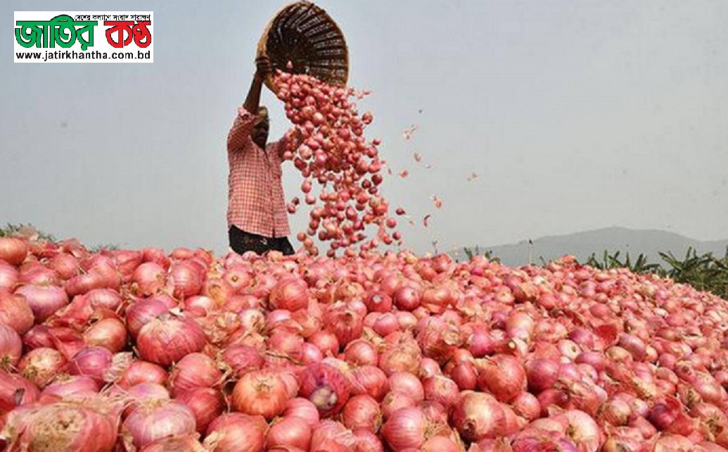 পেঁয়াজ বোমা:১০০টাকা ছুঁইছুঁই