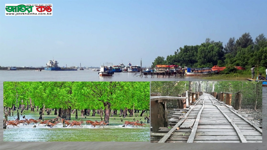 প্রাণের সুন্দরবন খুলছে রোববার