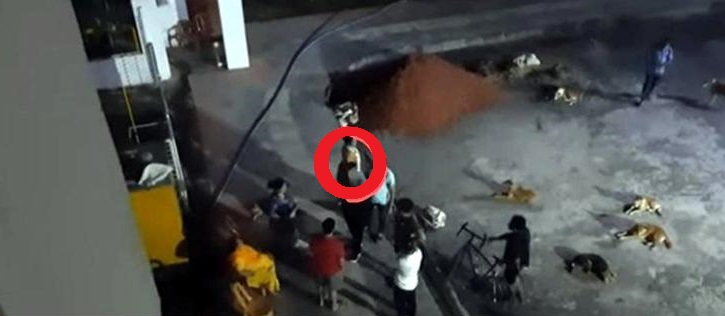 রহস্যজনক কুকুর নিধন মিরপুর রাকিন সিটিতে-প্রাণী প্রেমীদেরকে হত্যার হুমকি