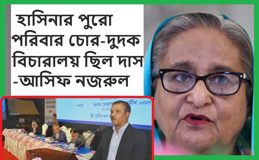 হাসিনার পুরো পরিবার চোর-দুদক বিচারালয় ছিল দাস:আসিফ নজরুল