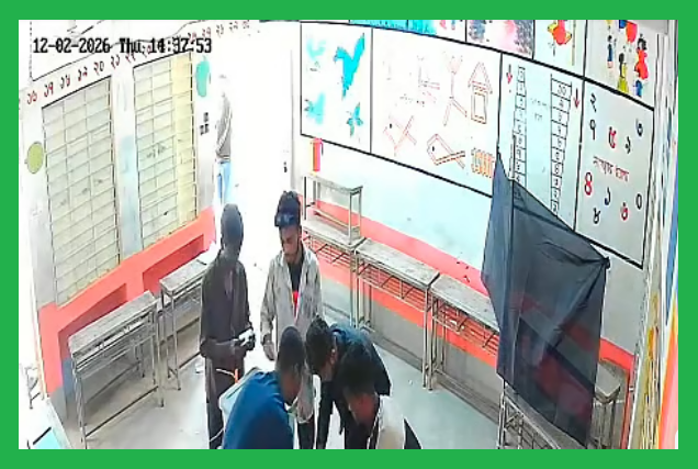 ময়মনসিংহের ভালুকায় ব্যালট পেপারে গণছিল 