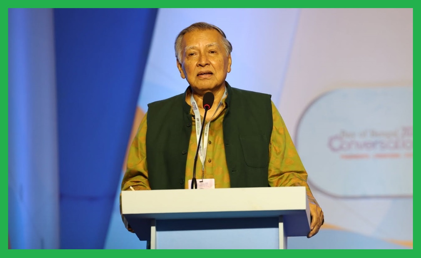 স্বৈরাচার পতনে জাতি বিভক্ত গণতন্ত্র বিনির্মাণেও ব্যর্থ : মাহফুজ আনাম